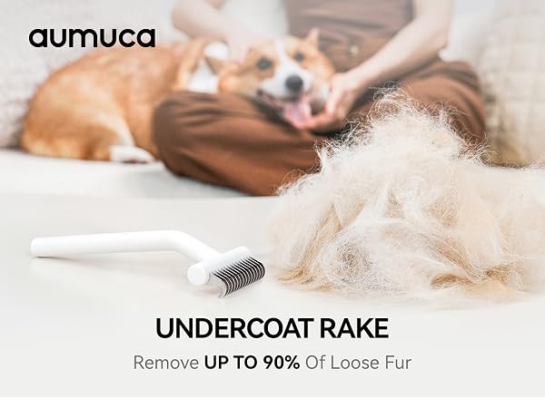 dog brushes for grooming