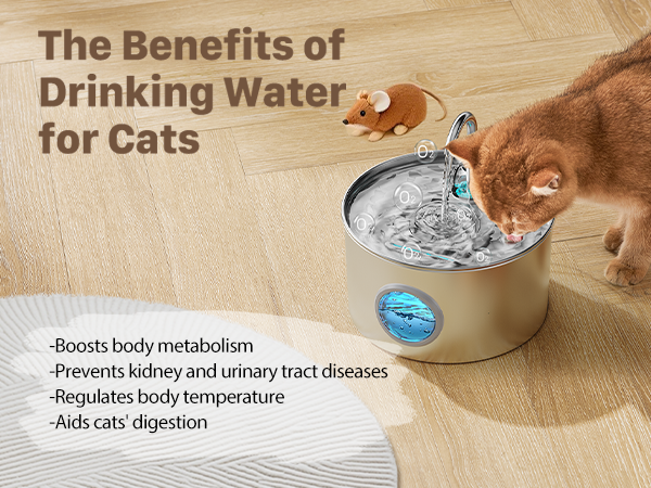 pet water fountain stainless steel stainless steel water fountain water fountain cat cat fountain