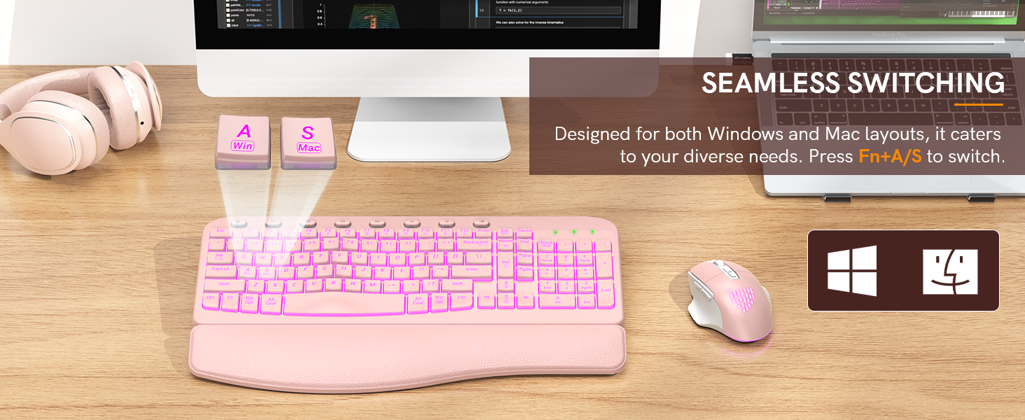 plug and play 2 in 1 Win&Mac system layout