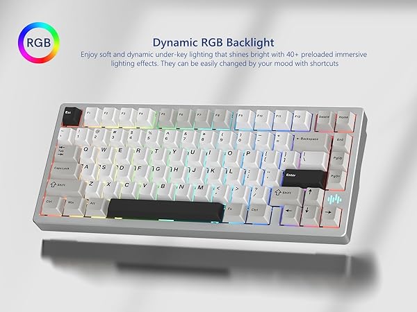 Gaming keyboard Wireless keyboard 75% wireless keyboard keyboard white keyboard rgb 75% keyboard