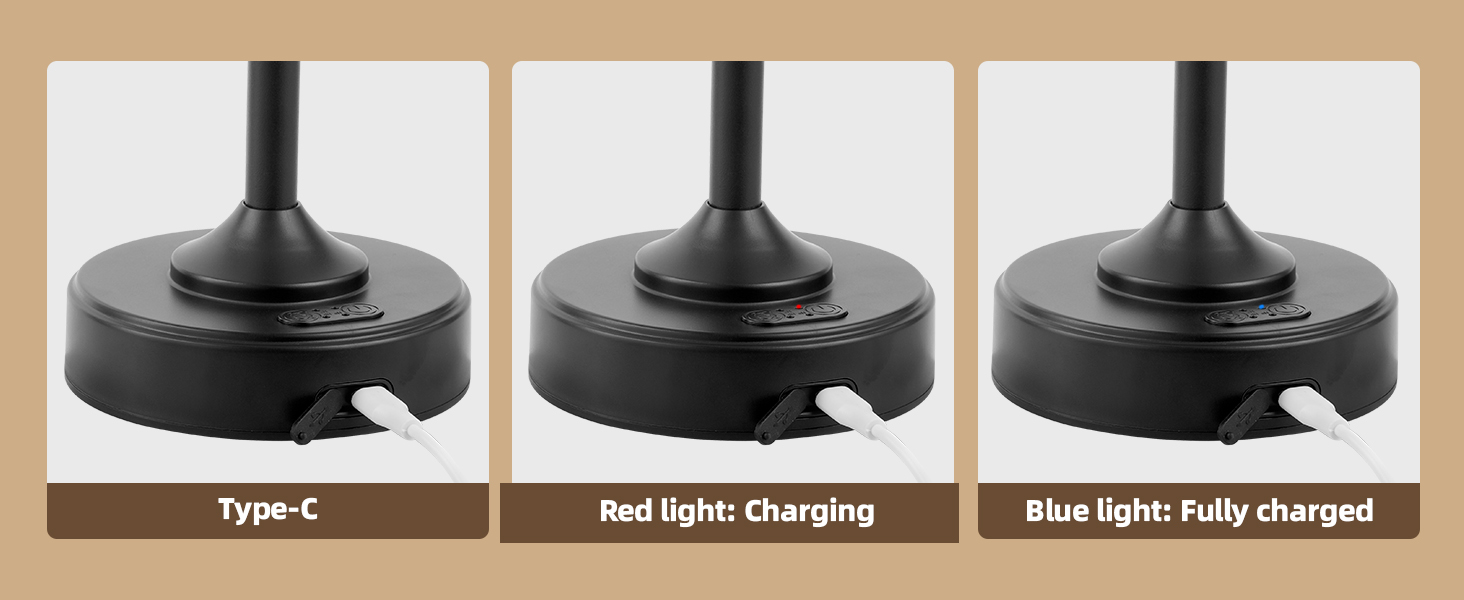 Cordless Table Lamp