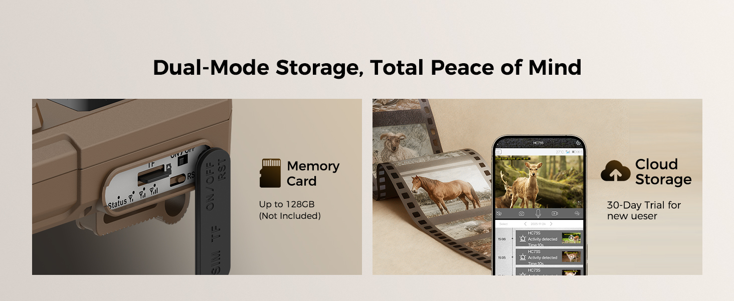 Dual Storage, Share Smoothly