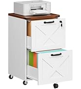 HOOBRO 2 Drawer File Cabinet with Lock, Under Desk Mobile Filing Cabinet for Home Office, Wooden ...