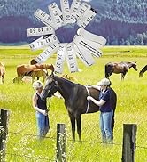 WIN TAPE Horse Weight Tape