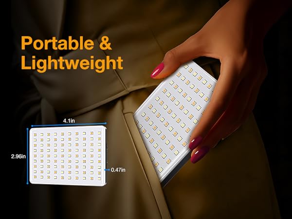 Selfie light