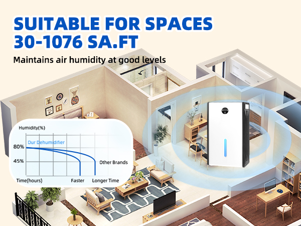 dehumidifier for basement