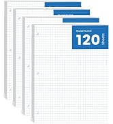 480 Sheets Graph Paper Loose Leaf, 8 x 10-1/2’’, 4x4 Graph Ruled Filler Paper, 3-Hole Punched Gra...
