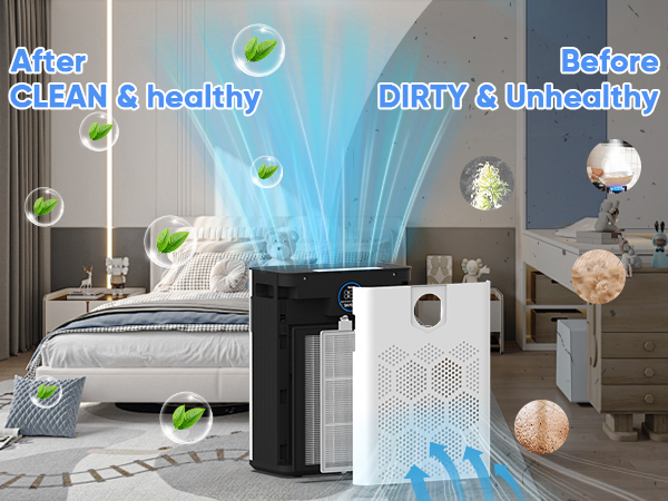 air purifiers for dust