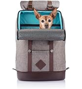 Kurgo Dog Carrier Backpack for Small Pets - Dogs &amp; Cats | TSA Airline Approved | Cat | Hiking or ...