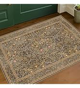 Brown Washable Entry Rug - Front Door Throw Rugs Indoor, Non-Slip Bathroom Small Rugs, Vintage Fl...