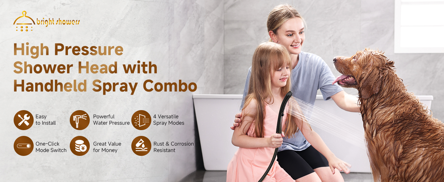 shower head with handheld