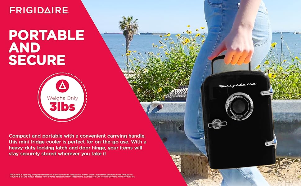 mini fridge cooler