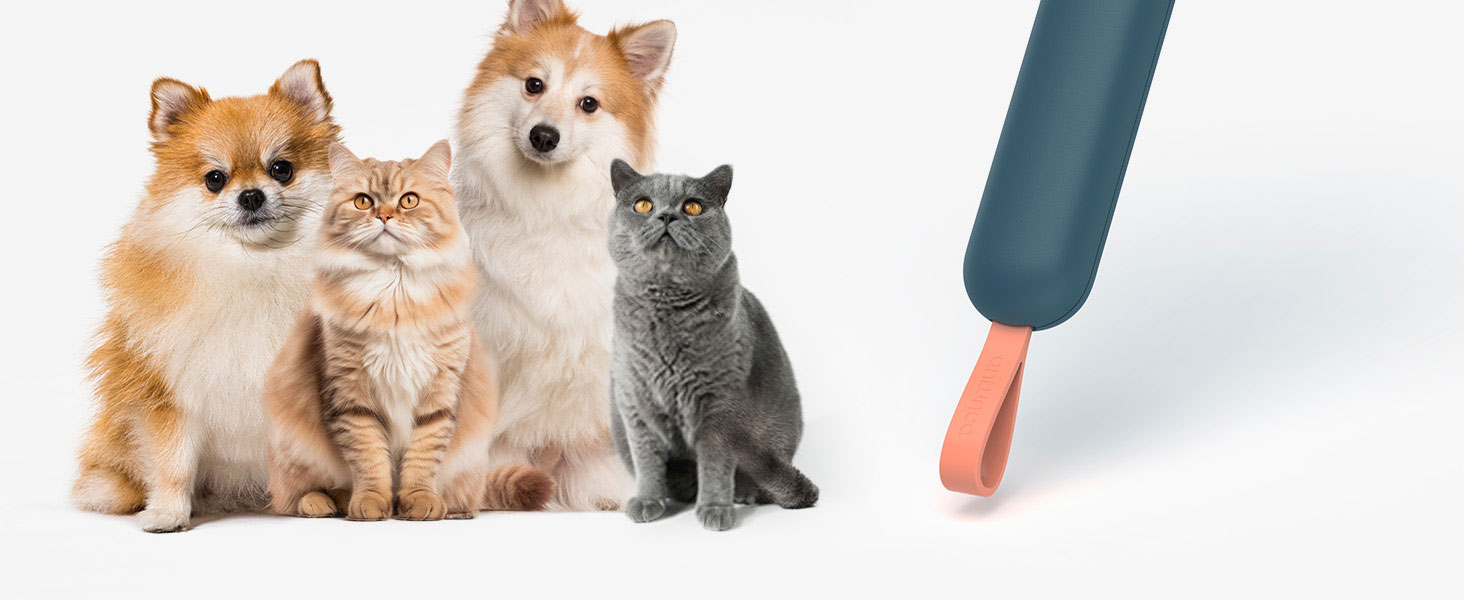 cat brush dog brush