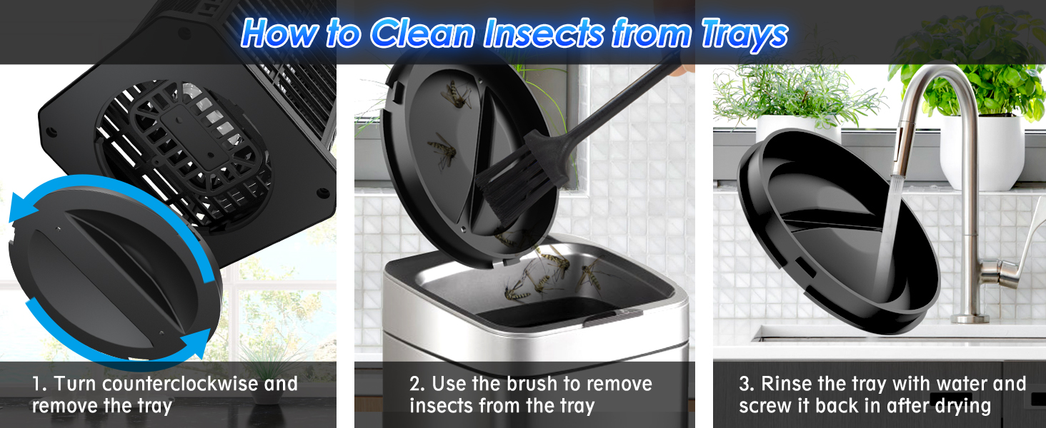 bug traps