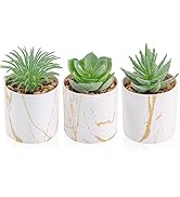 Der Rose 3 Packs Small Fake Plants Succulents Plants Artificial in Pots for Home Office Desk Deco...