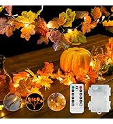 suddus Fall Leaves Garland with Lights, 20LED Battery Operated Fall Lights with Timer, Thanksgivi...