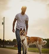dog collar 04