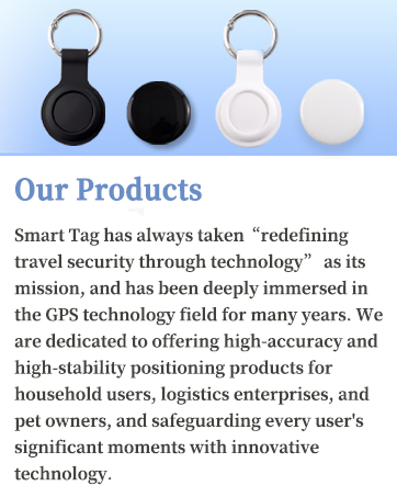 2 Pack GPS Tracker