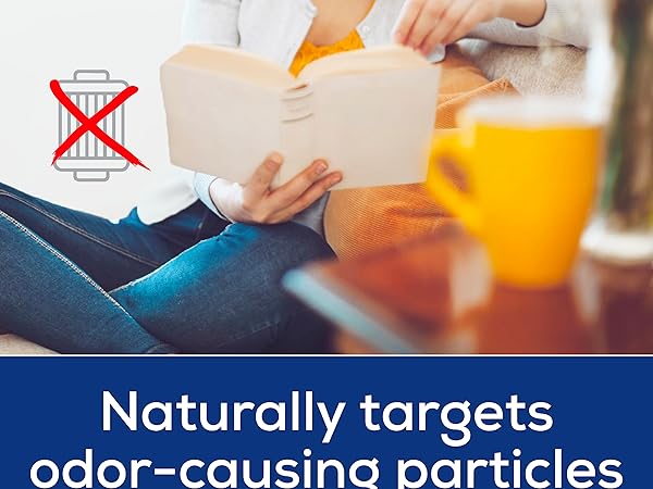 IonWave Air Ionizer for Home