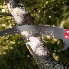 POLE SAWS FOR TREE TRIMMING