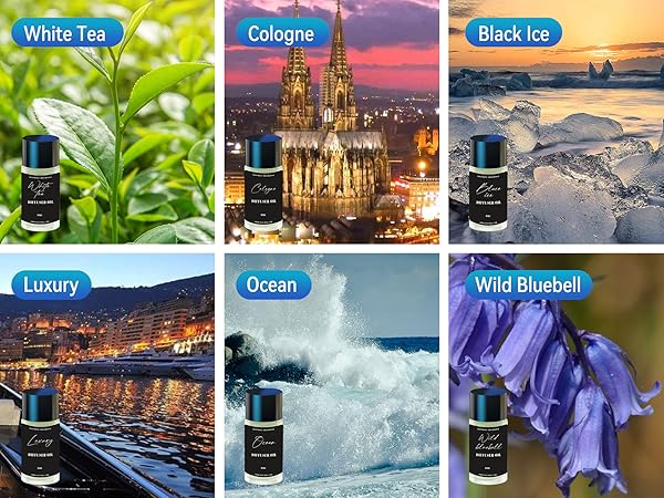 car fresheners long lasting