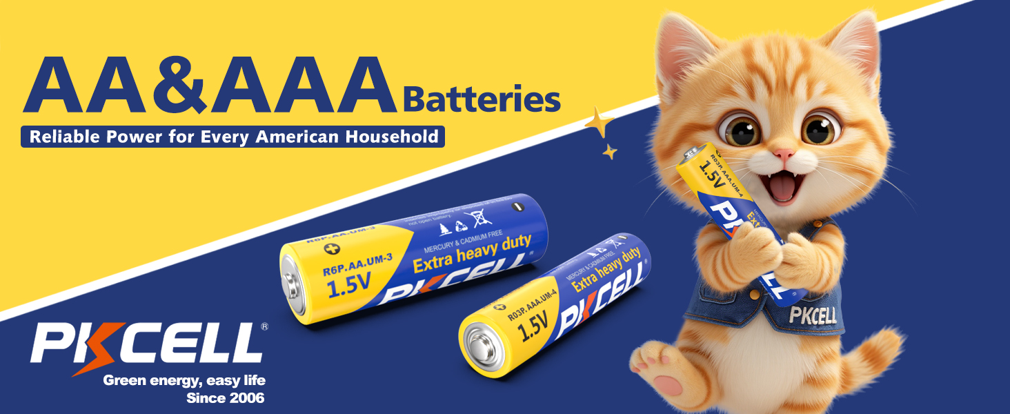 r03p r6p aa aaa batteries