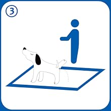 Pads for Training Dogs
