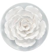 Passive Diffuser for Essential Oil-Ceramic Diffuser Non Electric Oil Diffusers for Small Mini Roo...