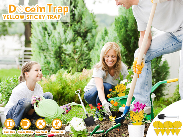 Fruit Fly Traps for Indoors