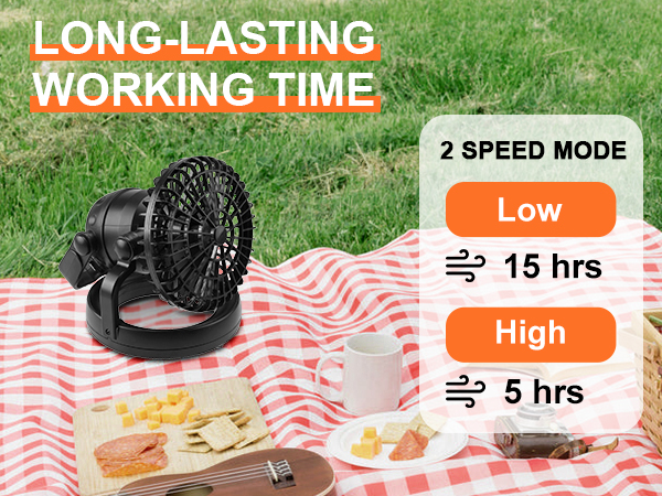 lasting time