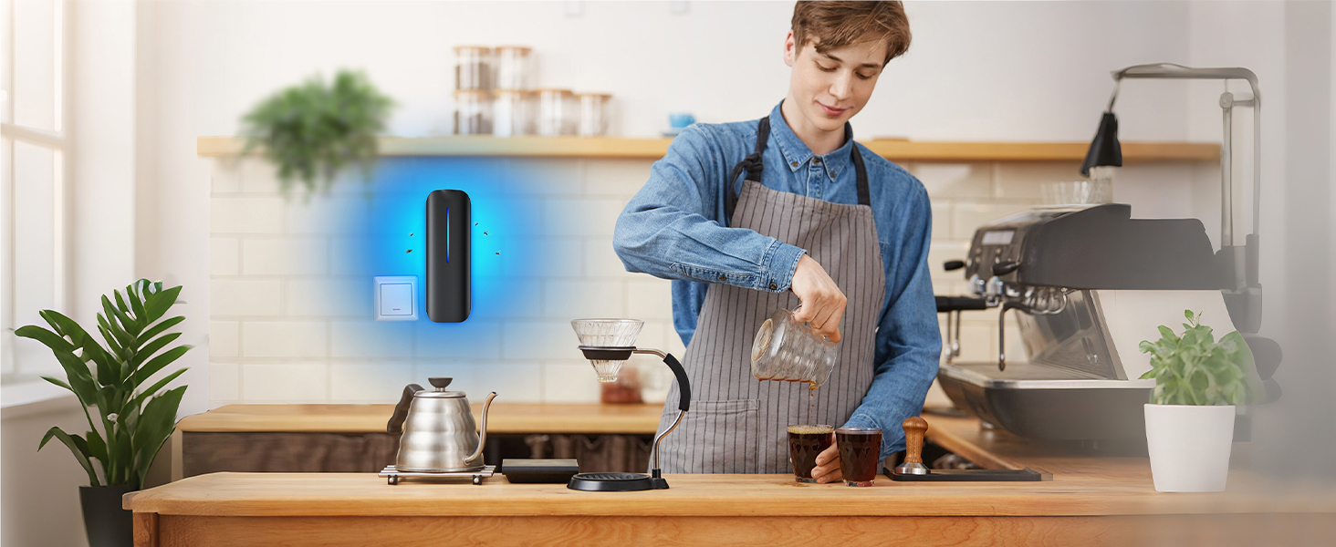 Flruit fly traps indoor