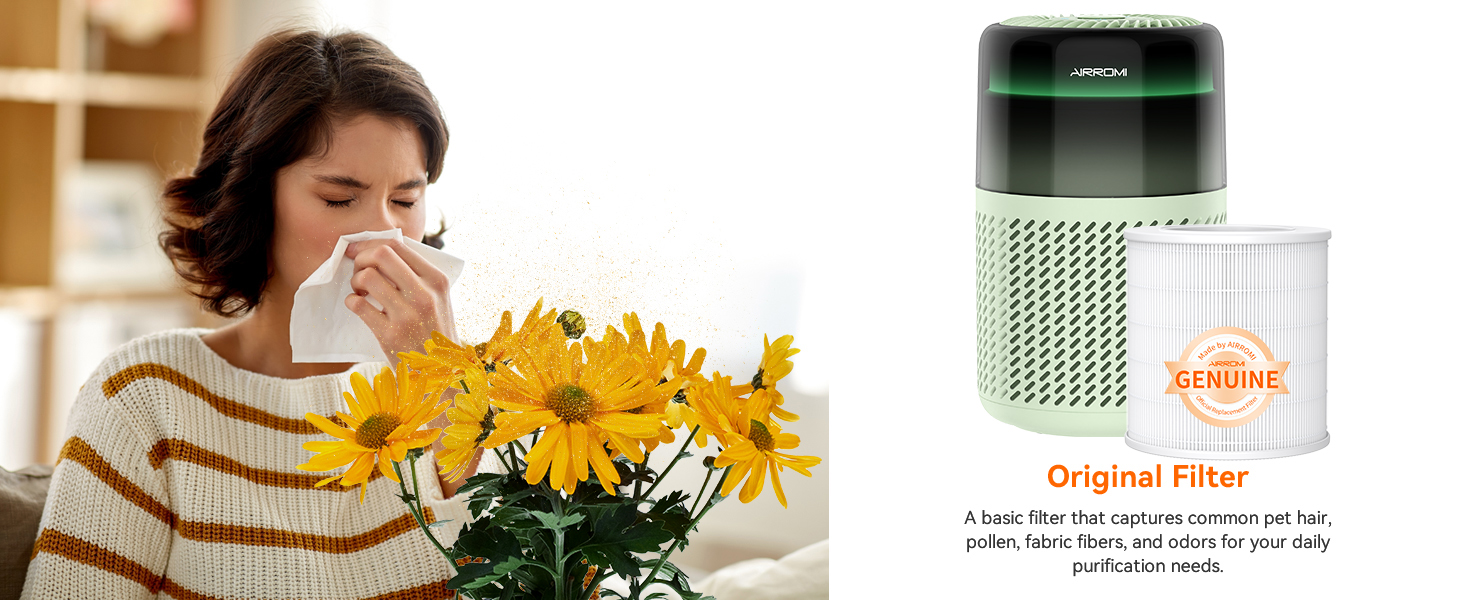 pet odor eliminator for home