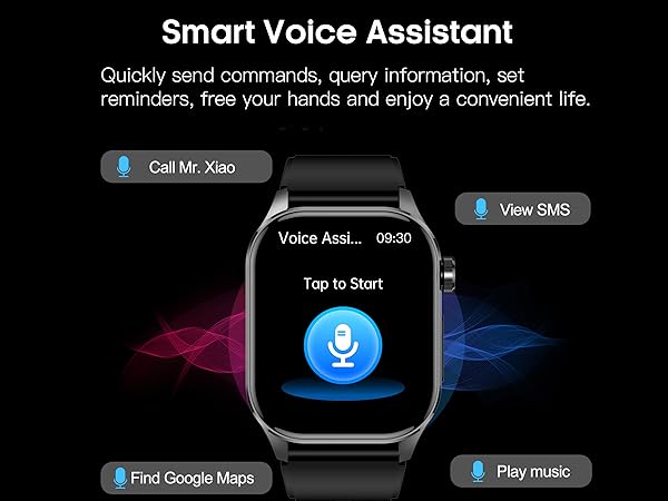 voice assitant