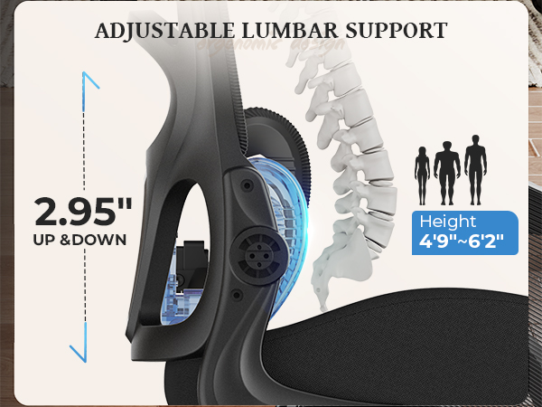 Ergonomic Desk Chair