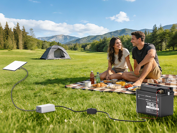 starlink mini 12v battery cable