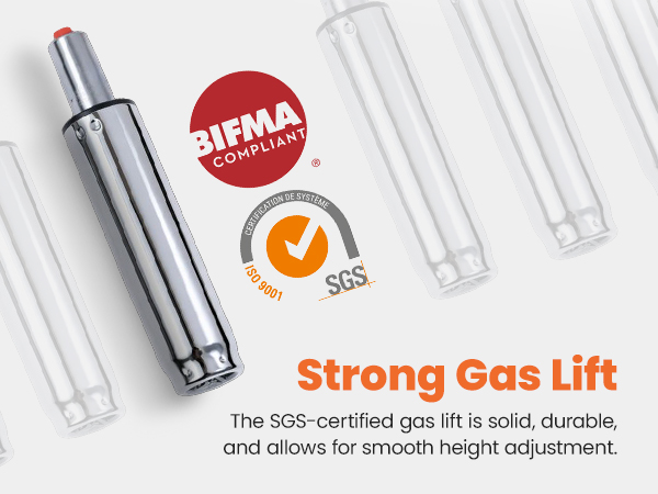 gas lift