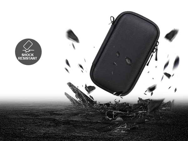 sandisk extreme pro case