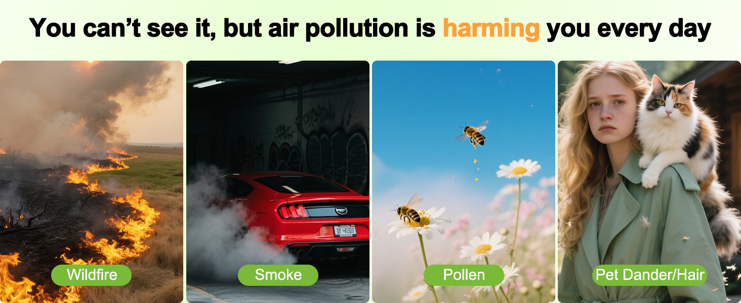 air purifiers