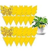 24Pcs Fruit Fly Traps for Indoors, Gnat Sticky Traps for House Plant, Fruit Fly, Whitefly, Fungus...