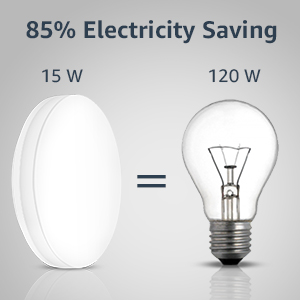 ceiling light fixture