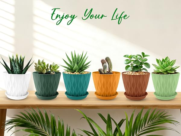 plant pots