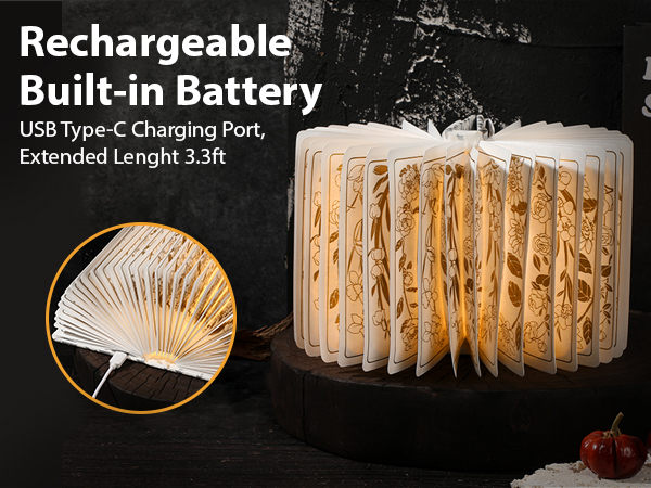 rechargeable book lamp