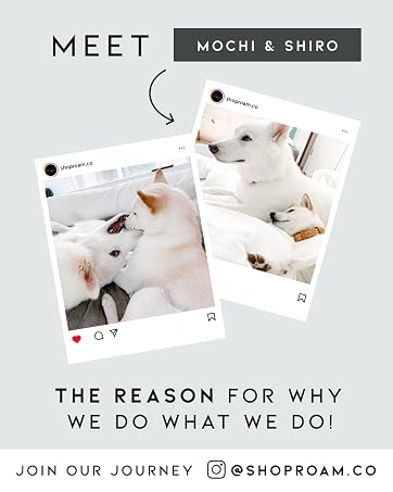 Meet Mochi &amp;amp; Shiro, the reason for why we do what what we do