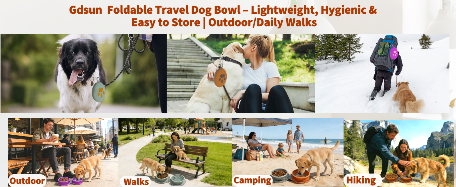 Easy to Store|Outdoor/Daily Walks Gdsun Foldable Travel Dog Bowl -Lightweight, Hygienic &amp;amp; Outdoor