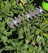 cordless hedge trimmer