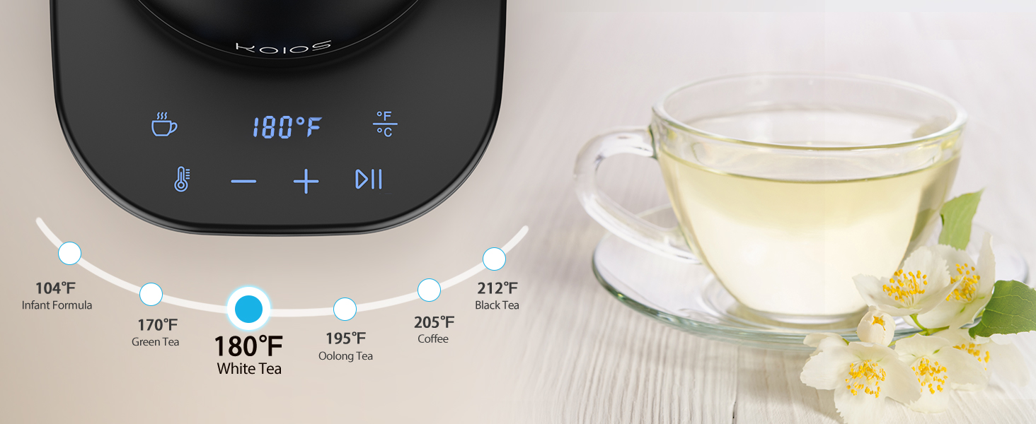 temperature control electric kettle 