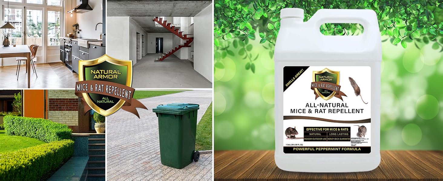 peppermint spray for rodents