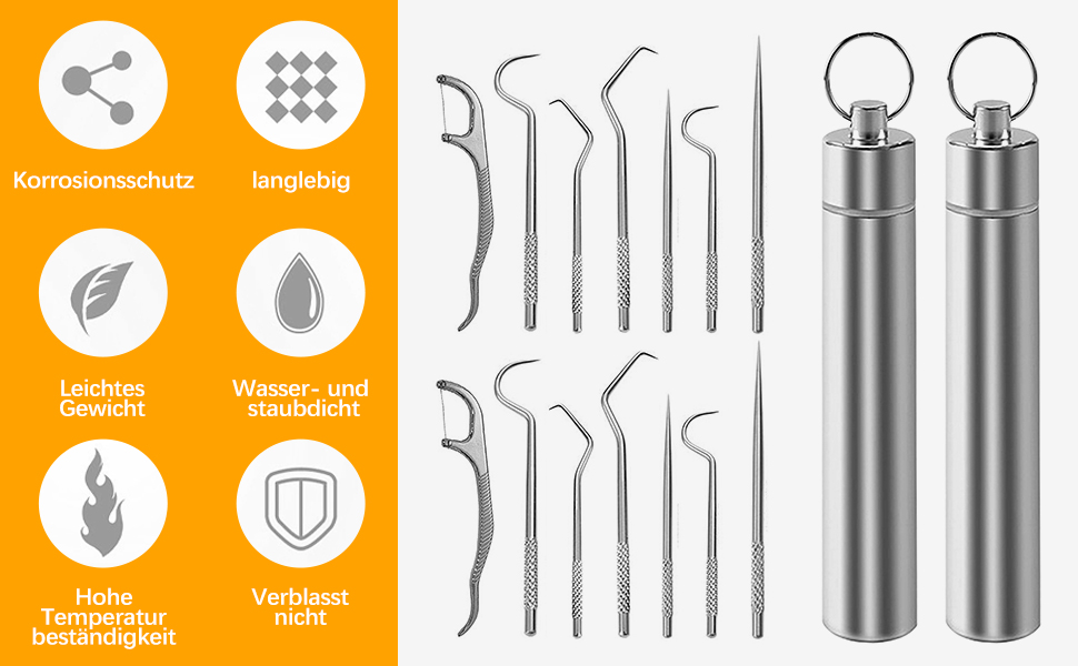 Stainless Steel Toothpick Set
