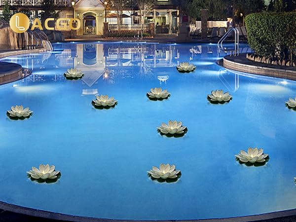 Floating Lotus Flower