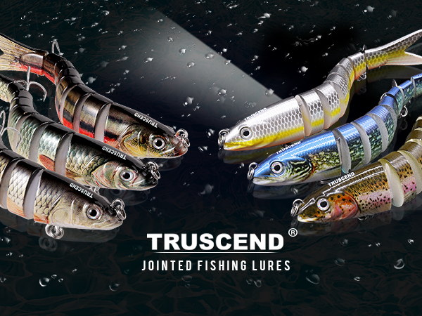 fishing lures